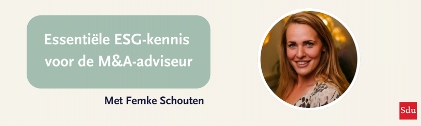 Essentiële ESG-kennis voor de M&A-adviseur