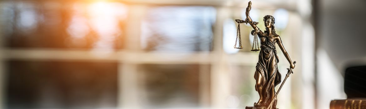 Mag de Kamer zeven jaar doen over een Grondwetswijziging?