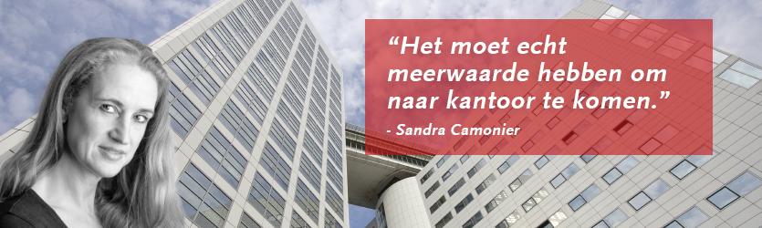 Sdu en thuiswerken: hoe pakken we het aan?