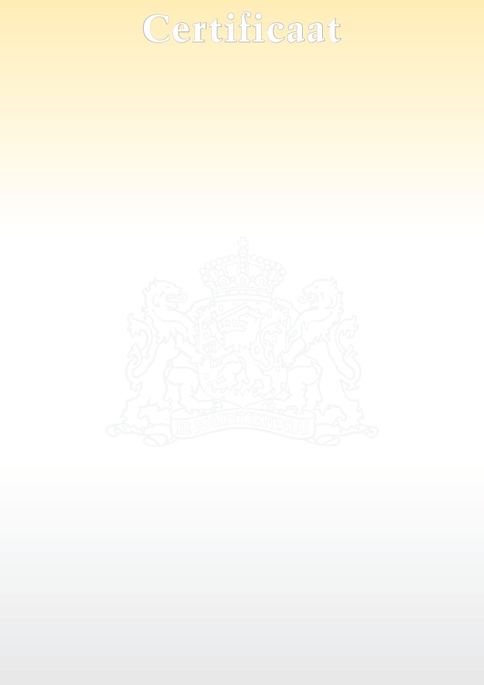Beveiligd waardedocument certificaat, geel/grijs kleurverloop, 120 gram, (pak à 100)