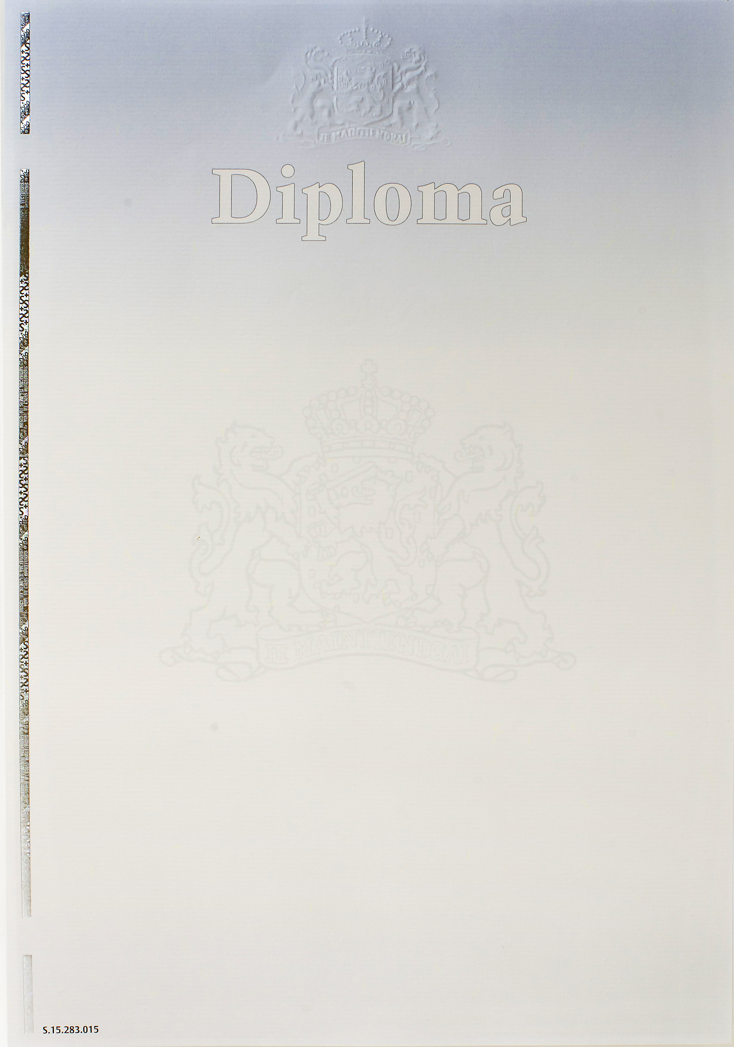 Beveiligd waardedocument diploma, 120gr, blauw/grijs, met grote blinddruk en 'DIPLOMA' (pak à 100)