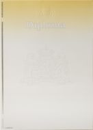 Beveiligd waardedocument diploma, 120gr, geel/grijs, met grote
blinddruk en 'DIPLOMA' (pak à 100)
