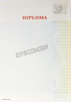 Nieuw Nederlands Diploma, fullcolour, beveiligd papier120 gr., met de titel 'diploma' (pak à 100)