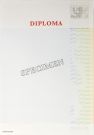 Nieuw Nederlands Diploma, beveiligd papier120 gr., met titel
'diploma' en een blinddruk (pak à 100)
