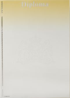 Beveiligd waardedocument met kleine tekst 'diploma' bovenaan, 120gr, geel/grijs, (pak à 100)