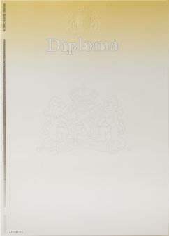 Beveiligd waardedocument diploma, 120gr, geel/grijs, met grote blinddruk en 'DIPLOMA' (pak à 100)