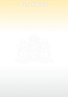 Beveiligd waardedocument certificaat, geel/grijs kleurverloop, 120 gram, (pak à 100)