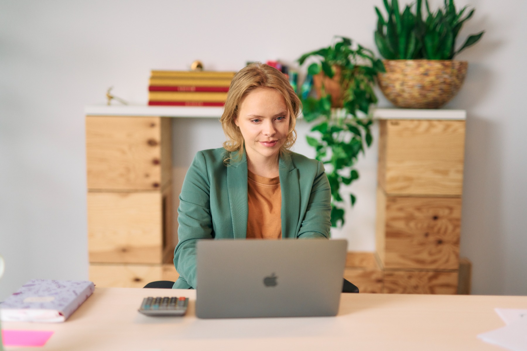 De RenteRekendisk Pro (abonnement)